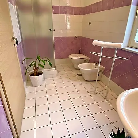 Bed & Breakfast Mariposa 3*