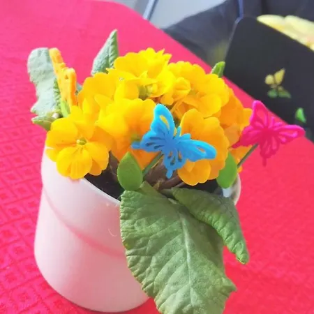 Mariposa Bed & Breakfast 3*